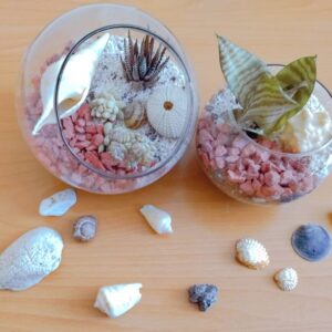 تراریوم شیشه ای